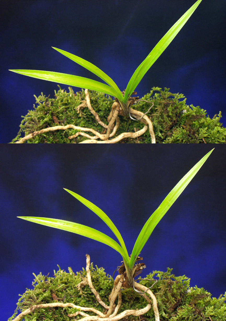 ������ ū������ �� �� �ֽ��ϴ�.