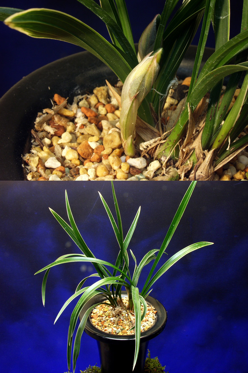 ������ ū������ �� �� �ֽ��ϴ�.