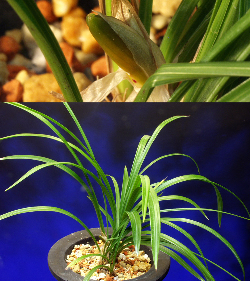 ������ ū������ �� �� �ֽ��ϴ�.