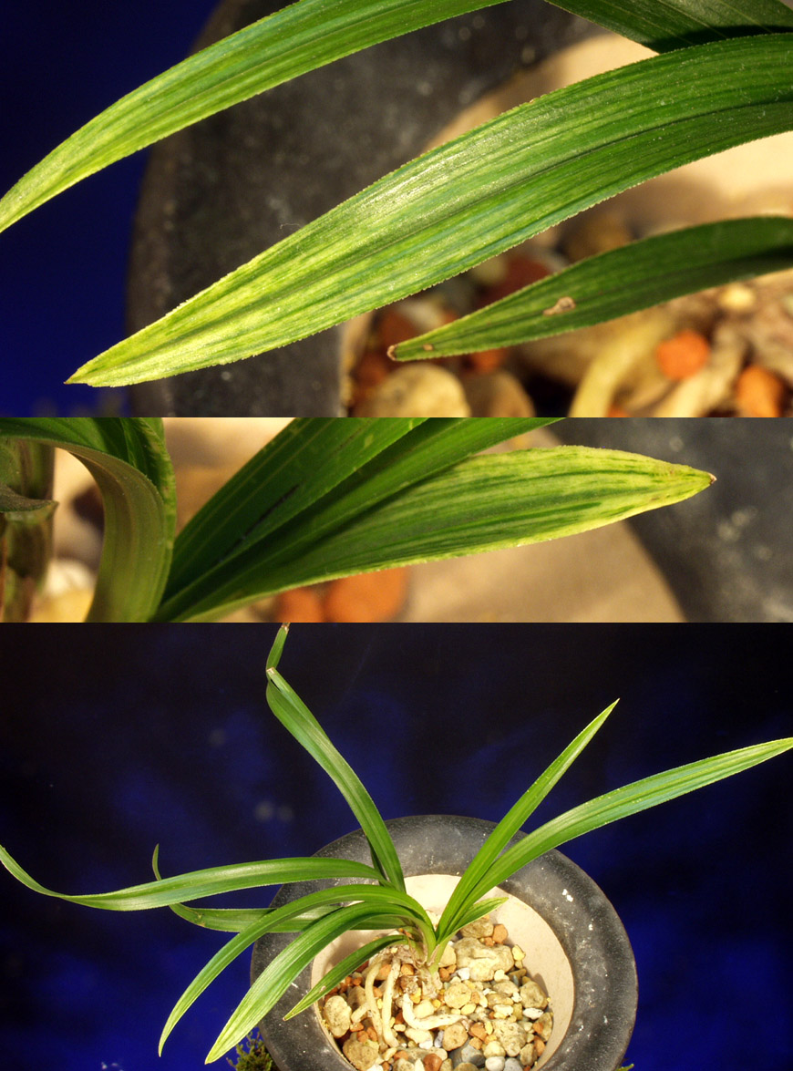 ������ ū������ �� �� �ֽ��ϴ�.