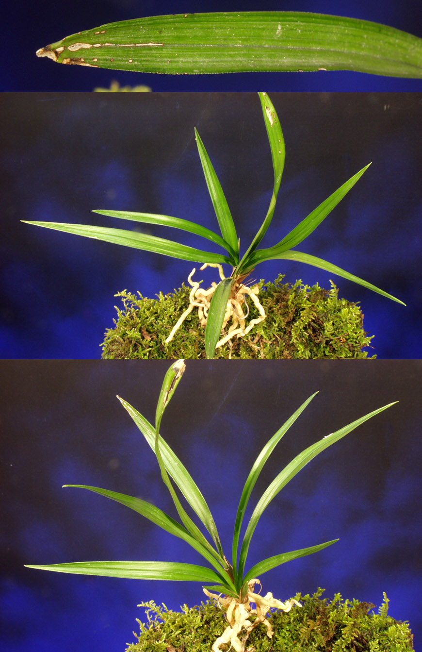 ������ ū������ �� �� �ֽ��ϴ�.