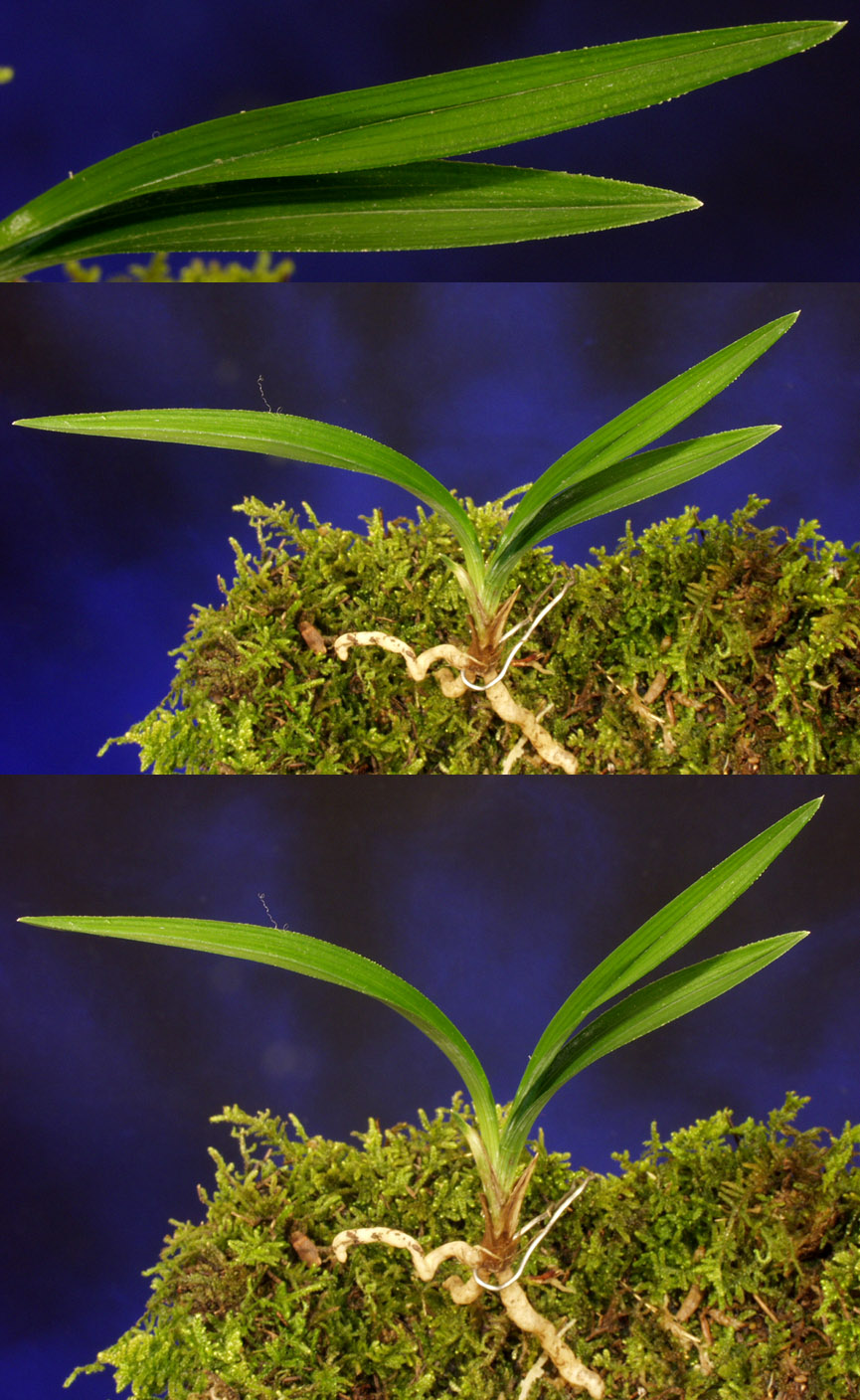 ������ ū������ �� �� �ֽ��ϴ�.