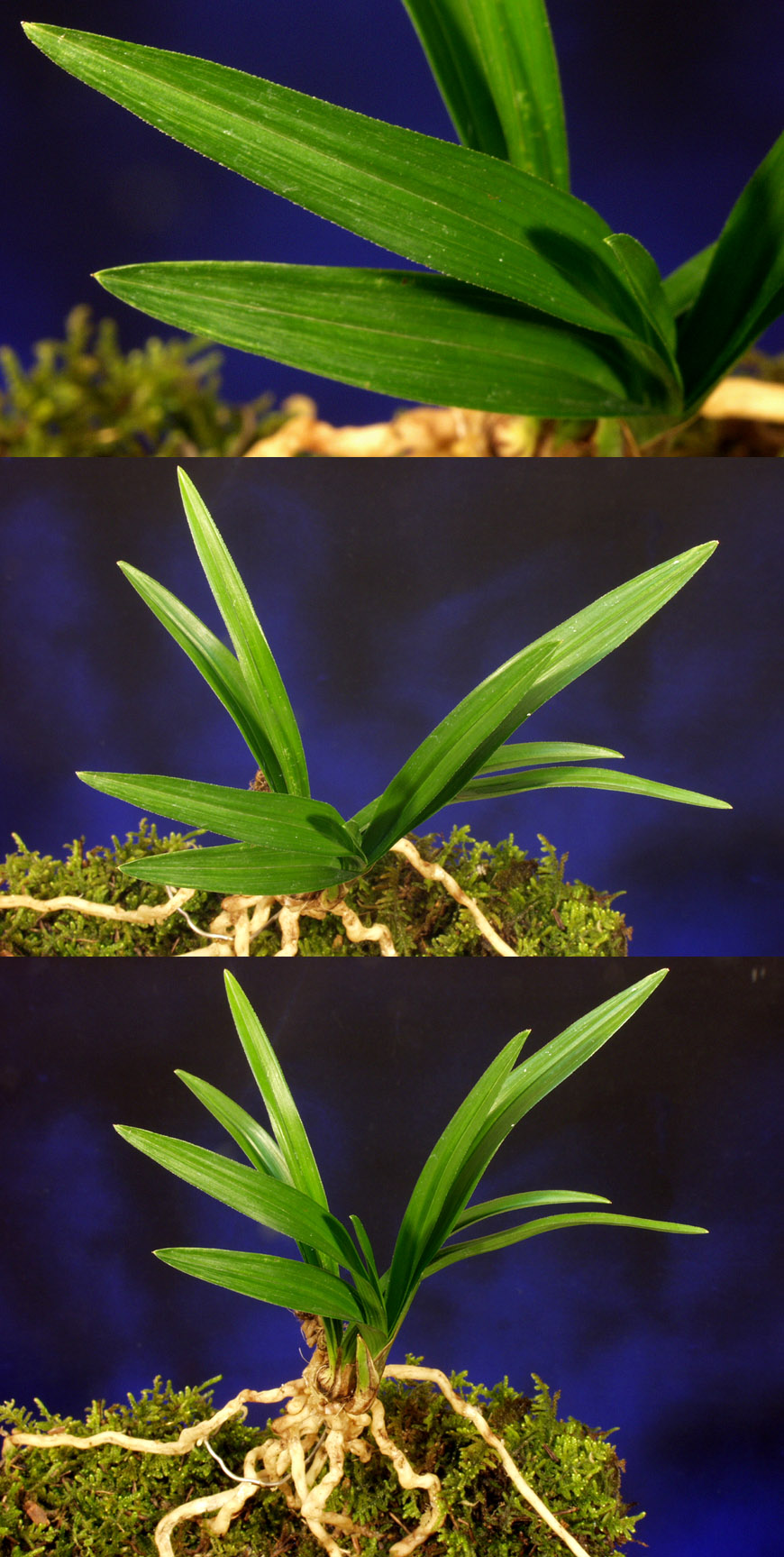 ������ ū������ �� �� �ֽ��ϴ�.