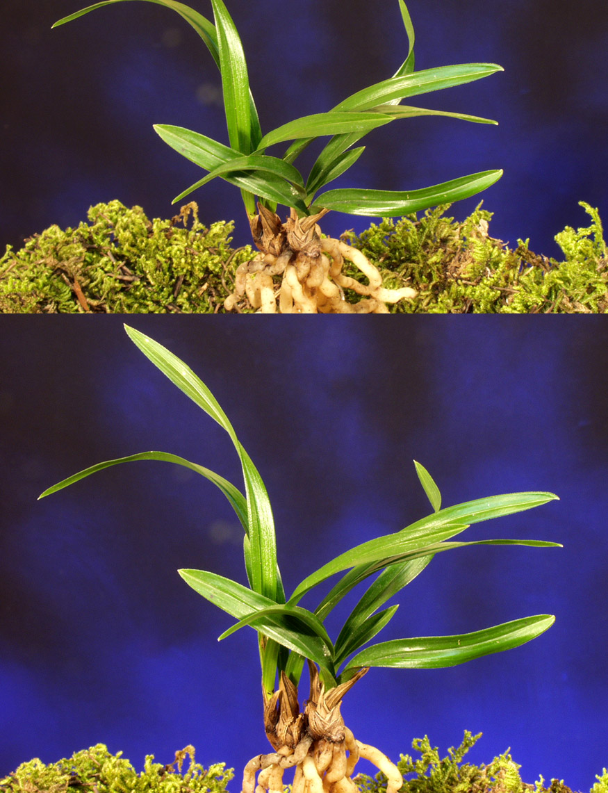 ������ ū������ �� �� �ֽ��ϴ�.