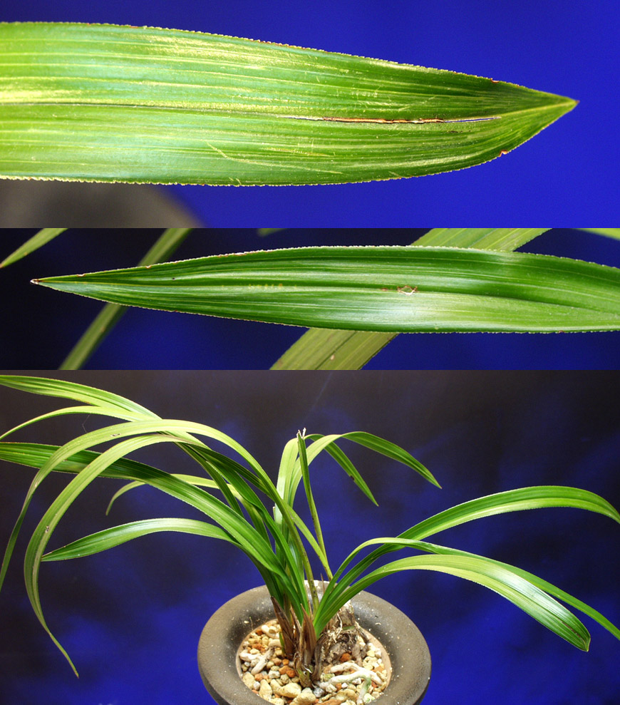 ������ ū������ �� �� �ֽ��ϴ�.