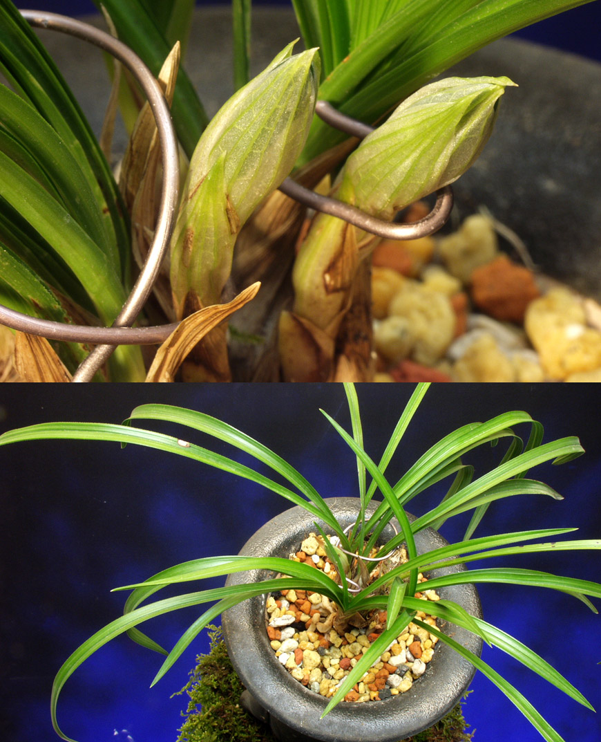 ������ ū������ �� �� �ֽ��ϴ�.