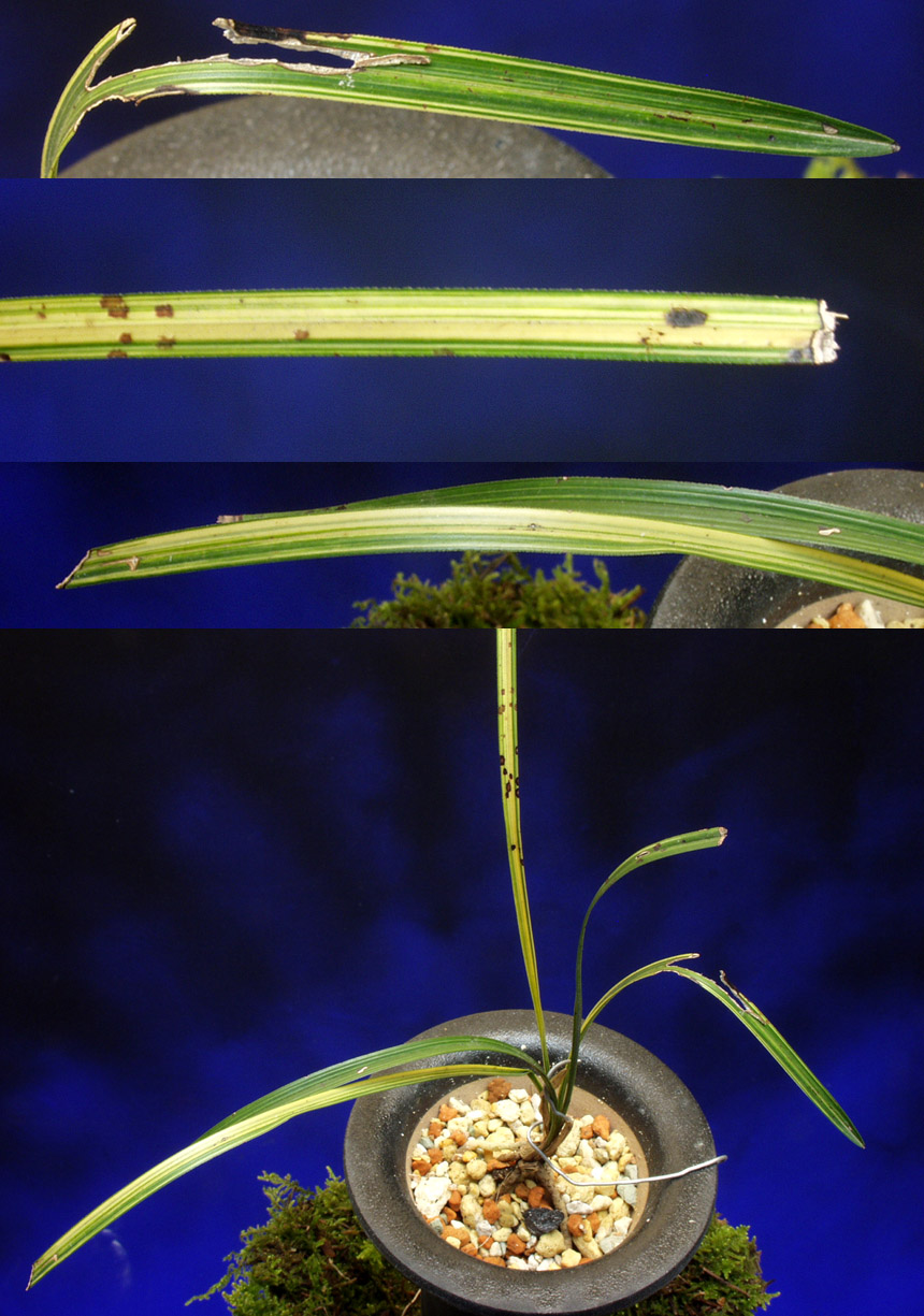 ������ ū������ �� �� �ֽ��ϴ�.