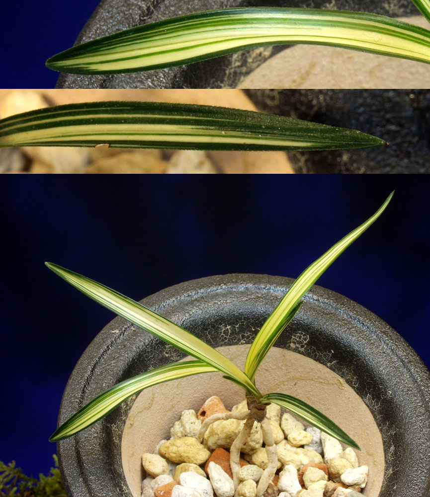 ������ ū������ �� �� �ֽ��ϴ�.