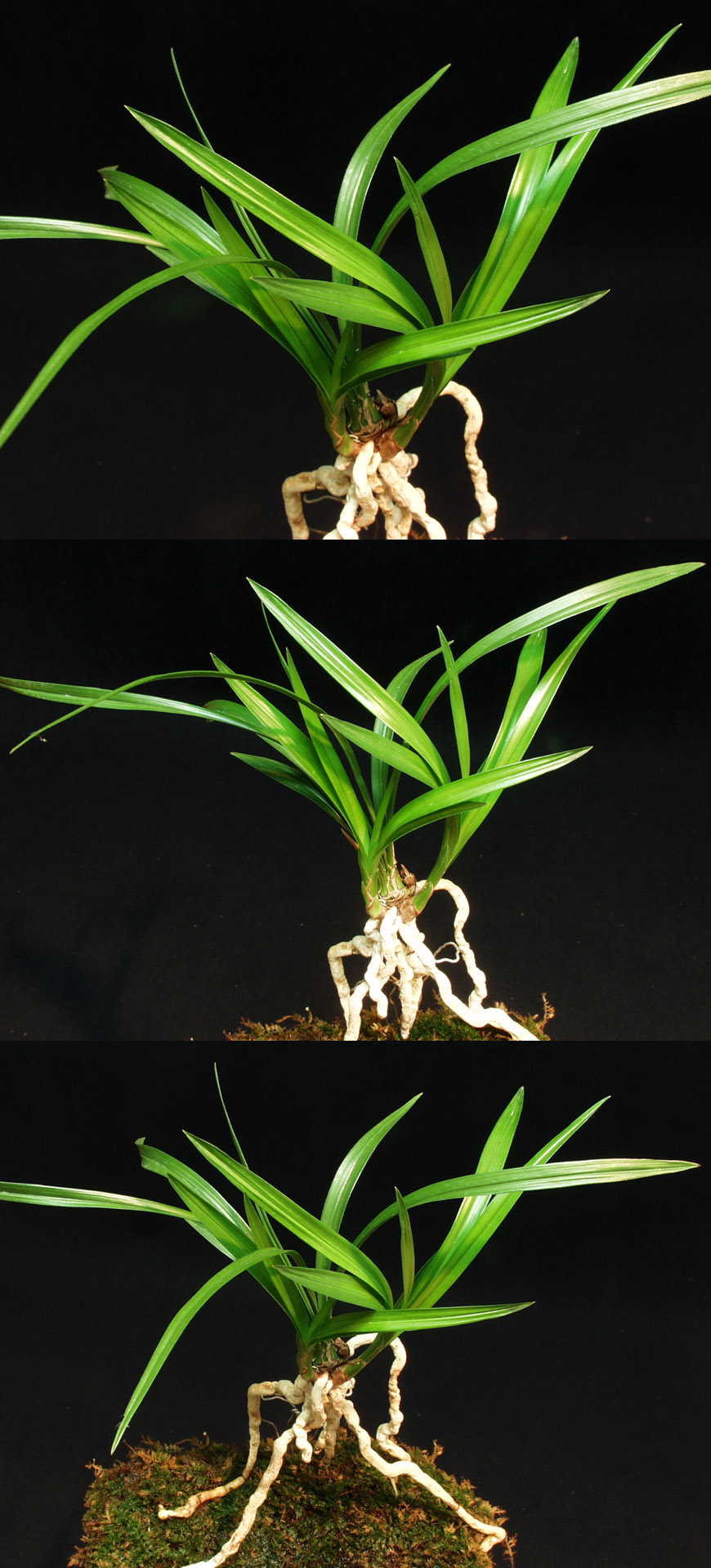 ������ ū������ �� �� �ֽ��ϴ�.