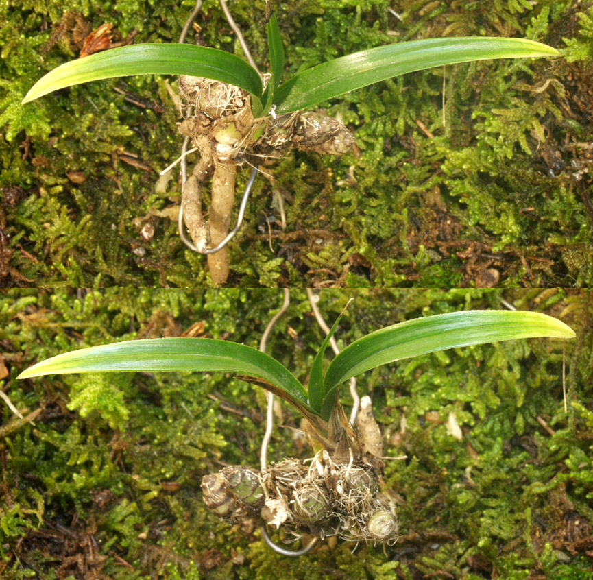 ������ ū������ �� �� �ֽ��ϴ�.