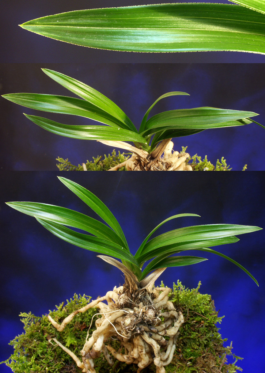 ������ ū������ �� �� �ֽ��ϴ�.