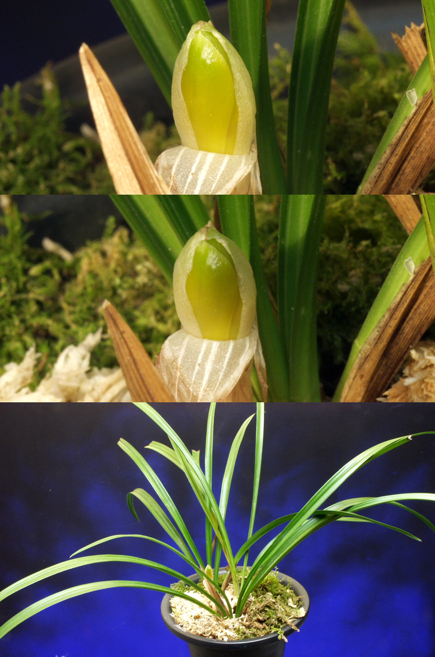 ������ ū������ �� �� �ֽ��ϴ�.