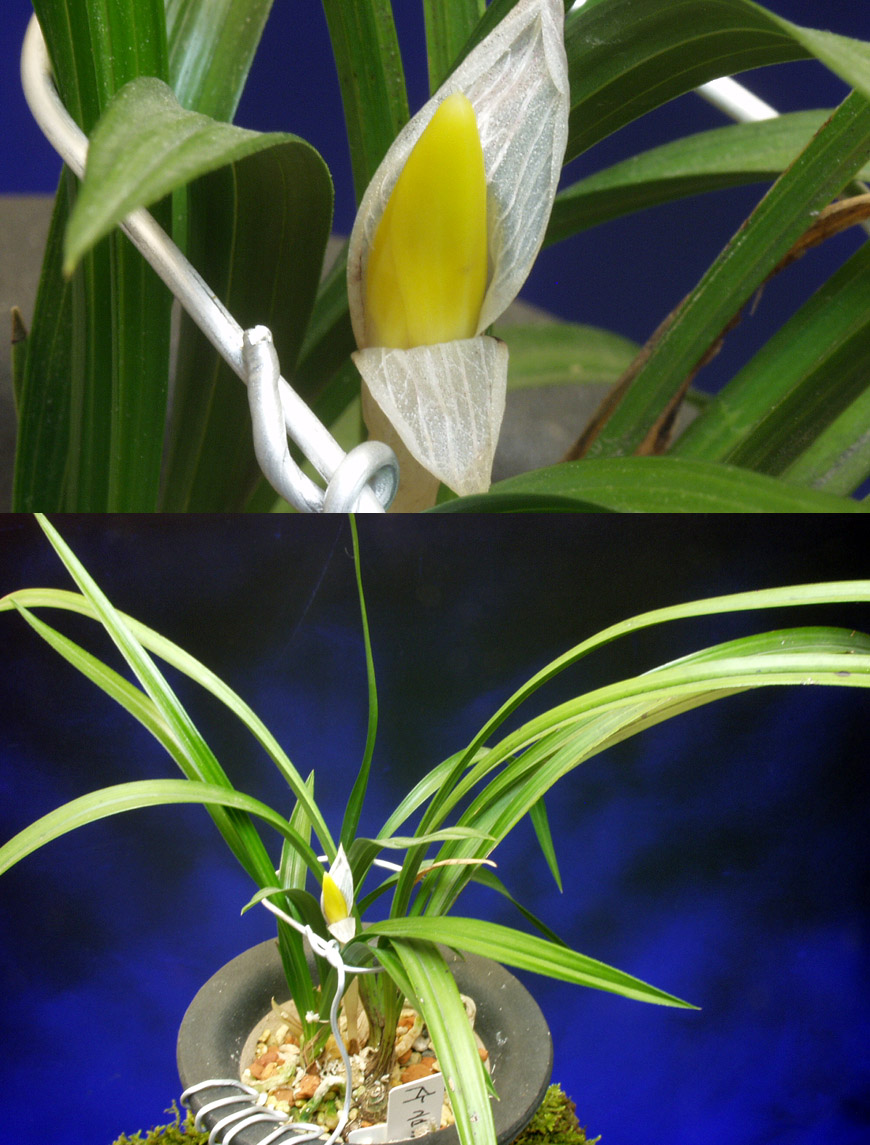 ������ ū������ �� �� �ֽ��ϴ�.