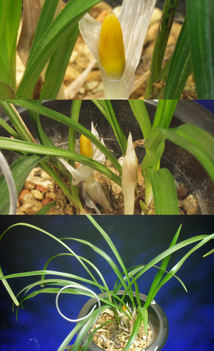 ������ ū������ �� �� �ֽ��ϴ�.