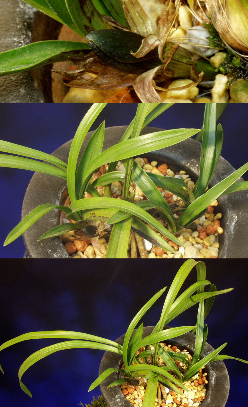 ������ ū������ �� �� �ֽ��ϴ�.