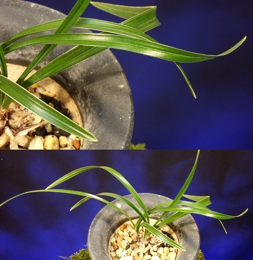 ������ ū������ �� �� �ֽ��ϴ�.