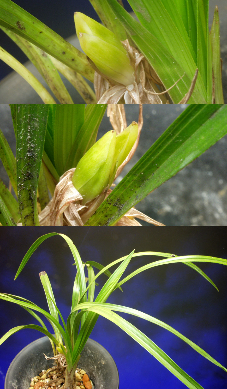 ������ ū������ �� �� �ֽ��ϴ�.