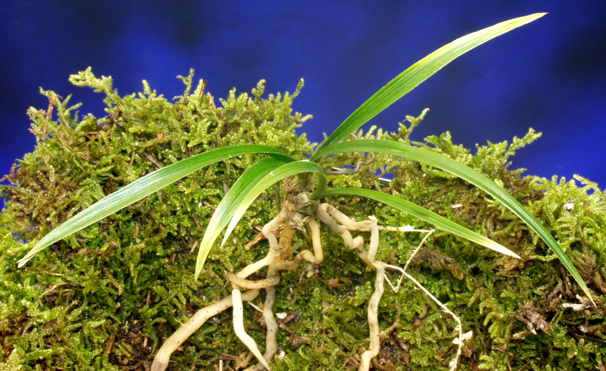 ������ ū������ �� �� �ֽ��ϴ�.