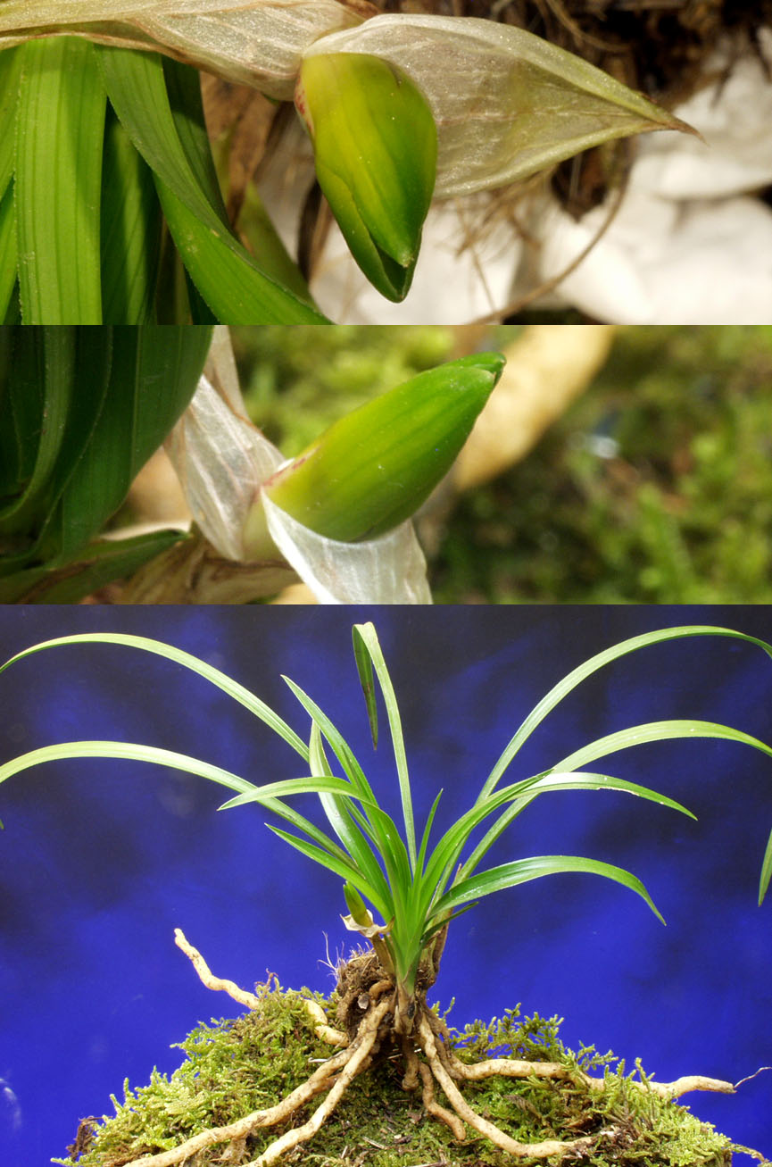 ������ ū������ �� �� �ֽ��ϴ�.