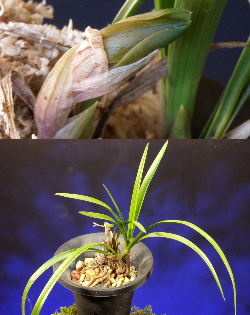 ������ ū������ �� �� �ֽ��ϴ�.