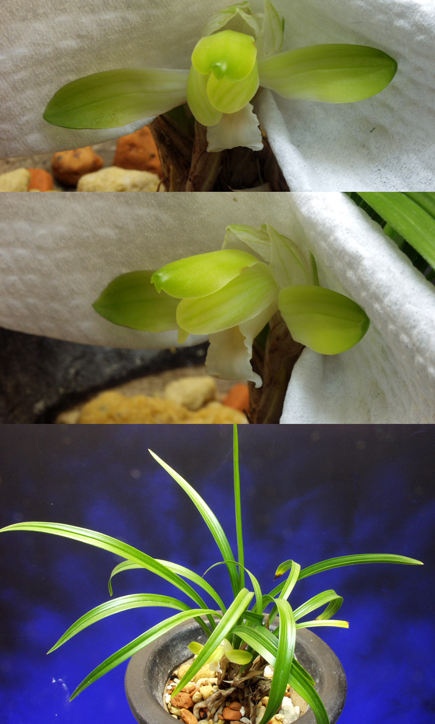 ������ ū������ �� �� �ֽ��ϴ�.