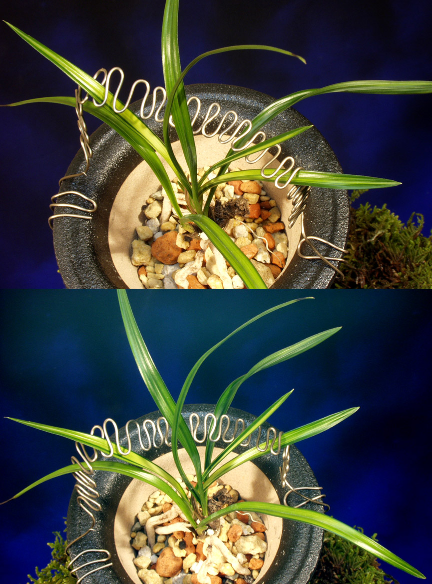 ������ ū������ �� �� �ֽ��ϴ�.