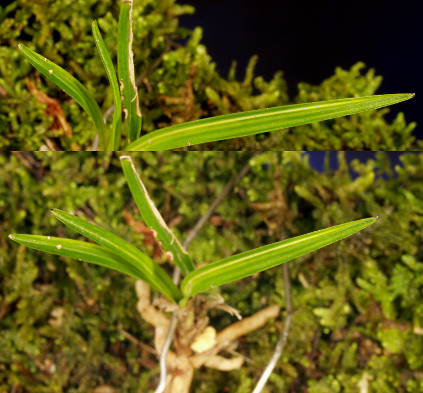 ������ ū������ �� �� �ֽ��ϴ�.