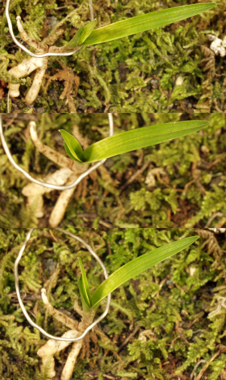 ������ ū������ �� �� �ֽ��ϴ�.