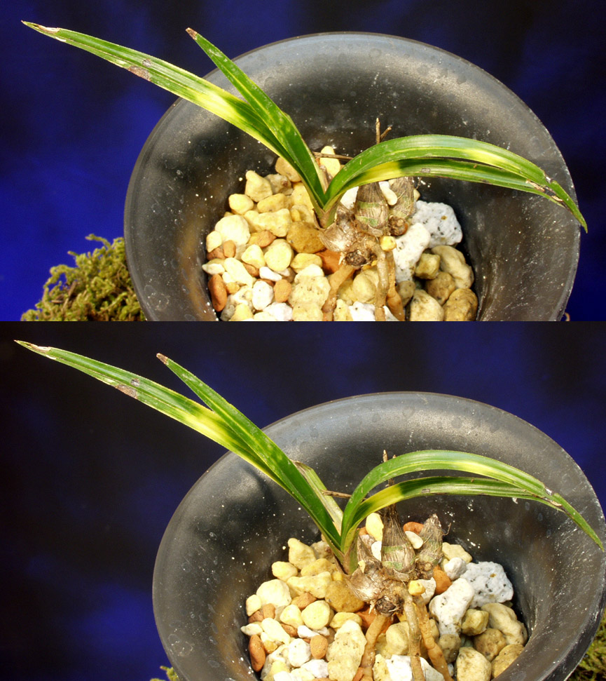 ������ ū������ �� �� �ֽ��ϴ�.