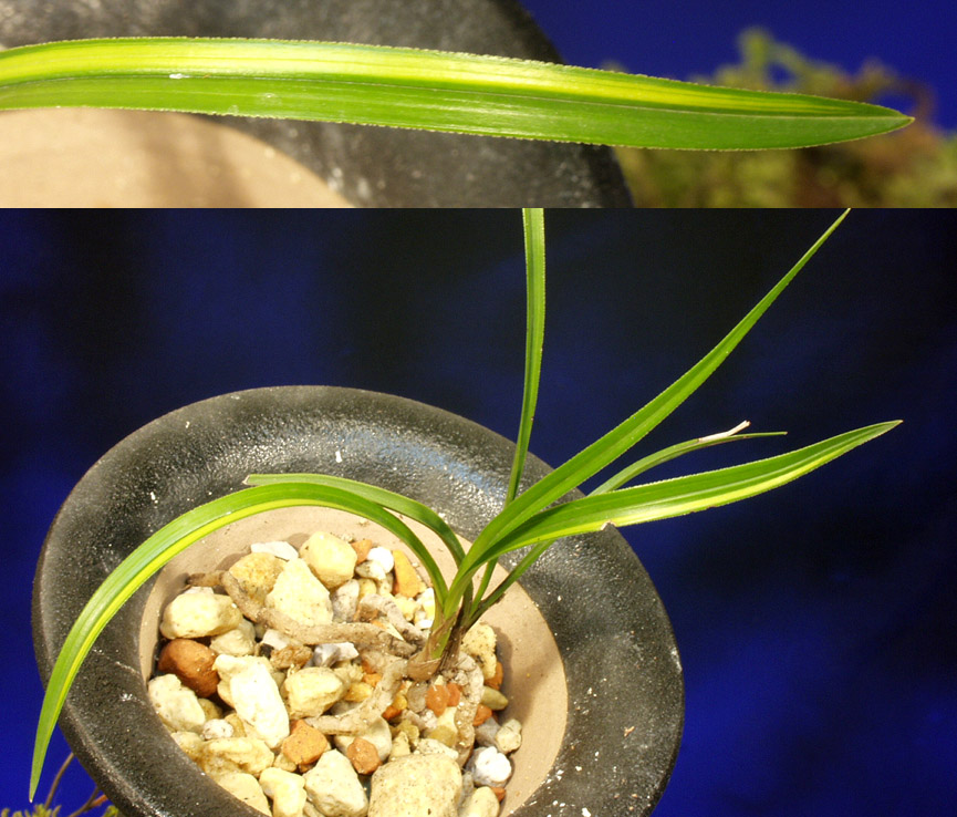 ������ ū������ �� �� �ֽ��ϴ�.