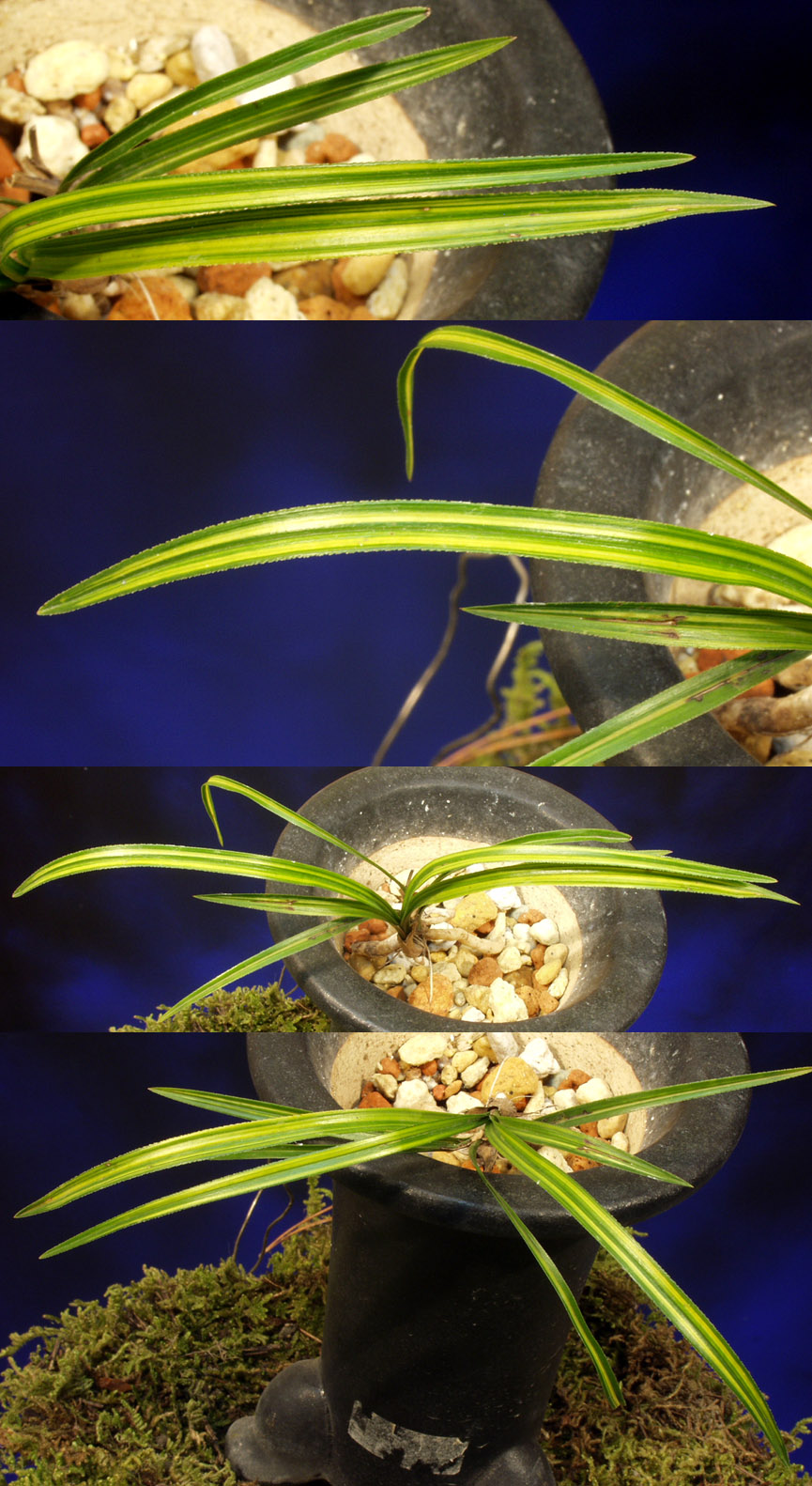 ������ ū������ �� �� �ֽ��ϴ�.