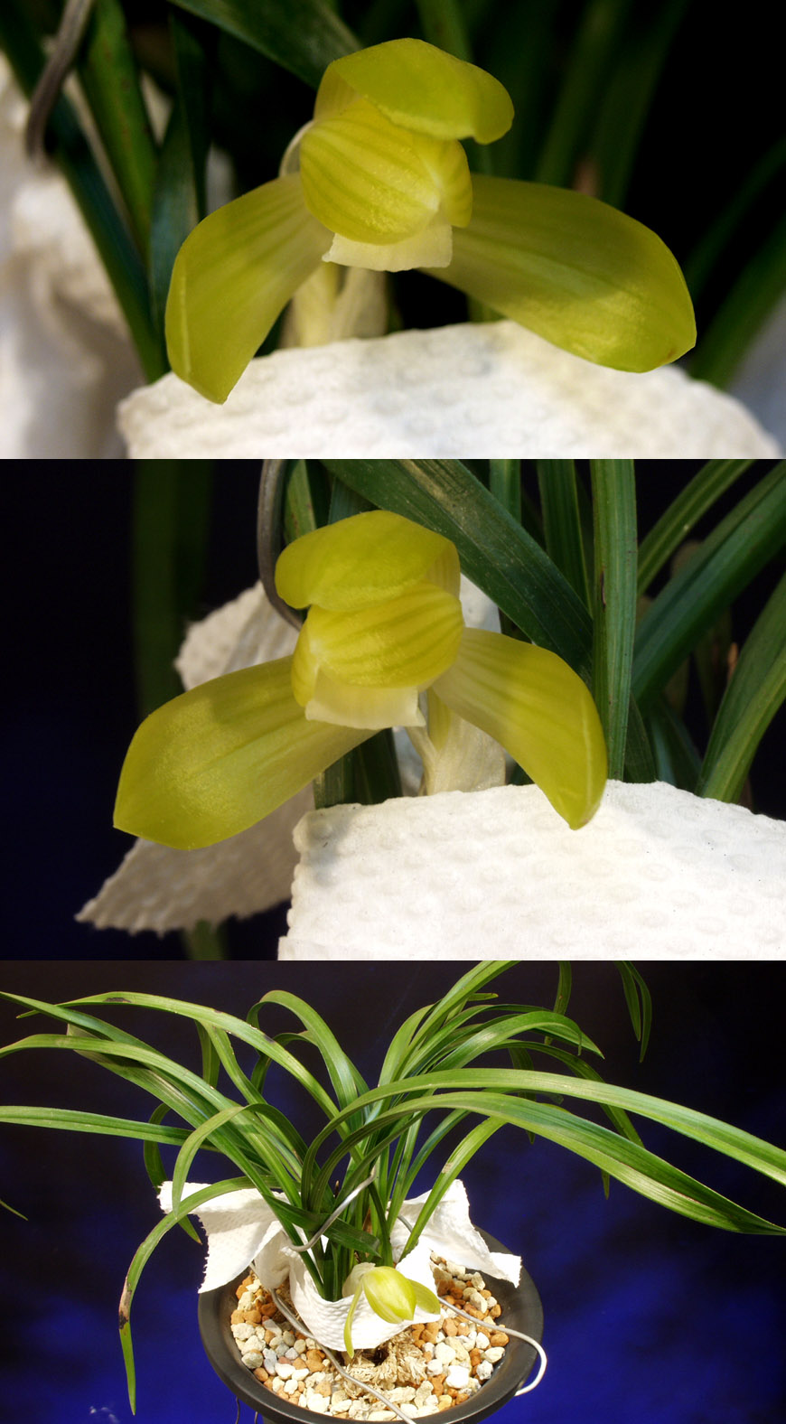 ������ ū������ �� �� �ֽ��ϴ�.