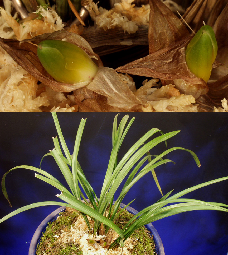 ������ ū������ �� �� �ֽ��ϴ�.