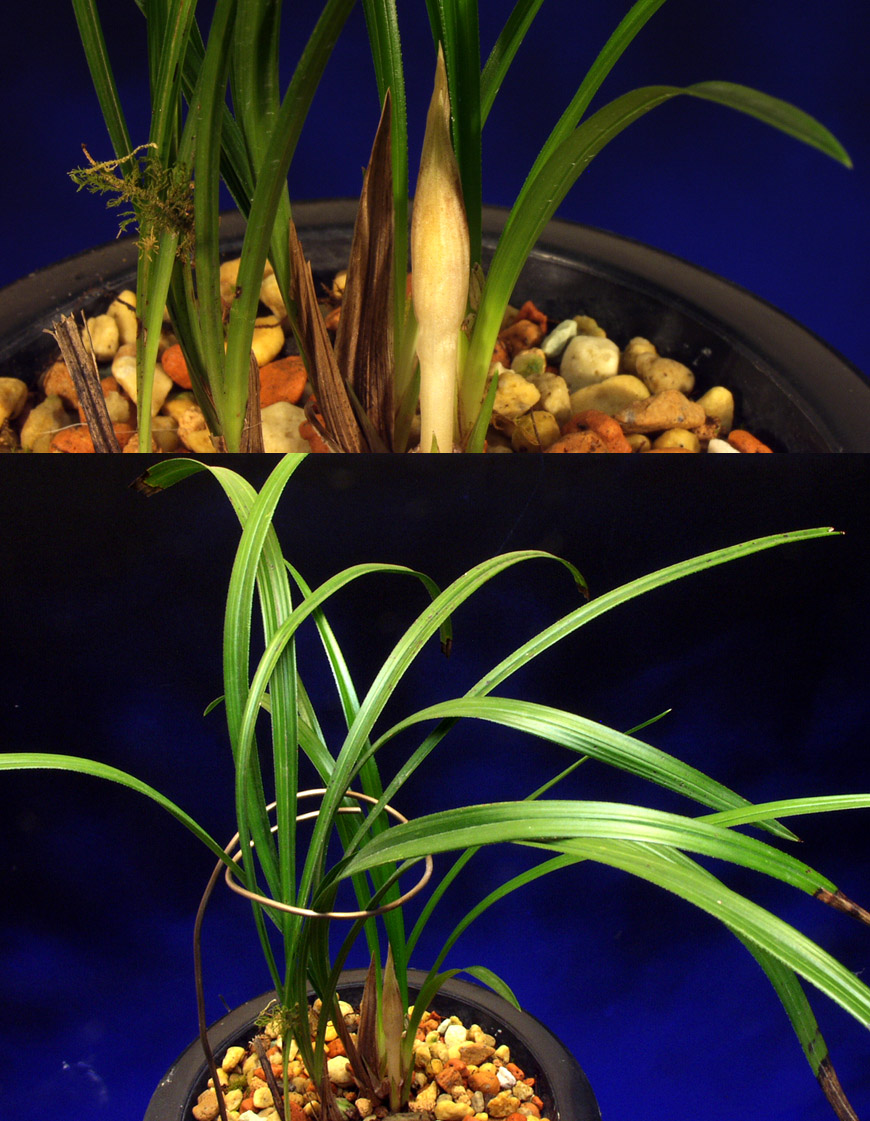 ������ ū������ �� �� �ֽ��ϴ�.