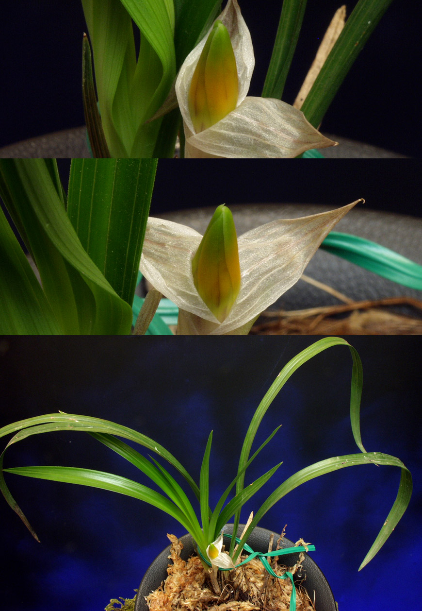 ������ ū������ �� �� �ֽ��ϴ�.