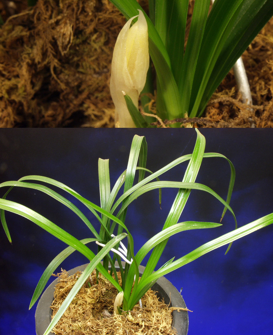 ������ ū������ �� �� �ֽ��ϴ�.