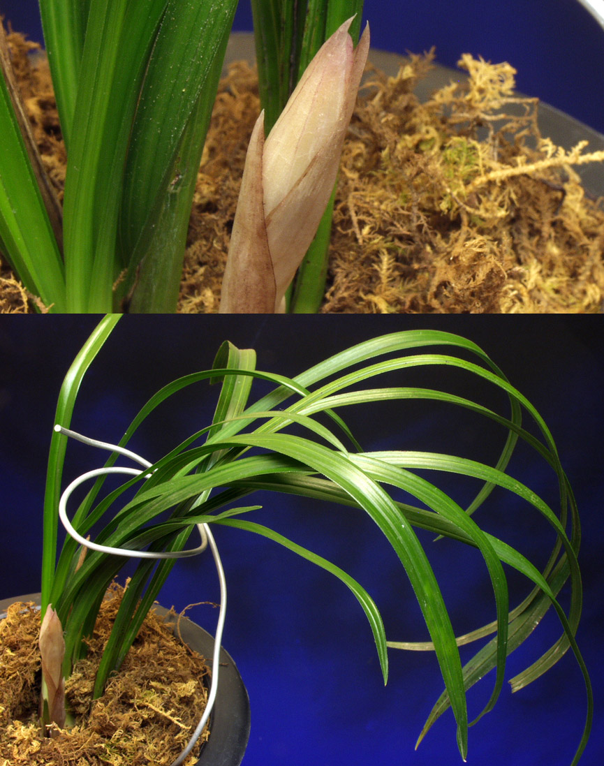 ������ ū������ �� �� �ֽ��ϴ�.