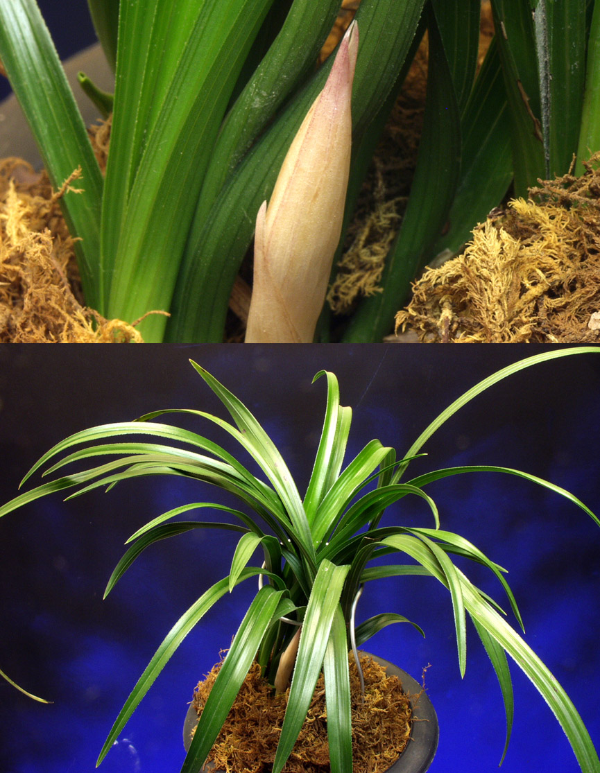 ������ ū������ �� �� �ֽ��ϴ�.