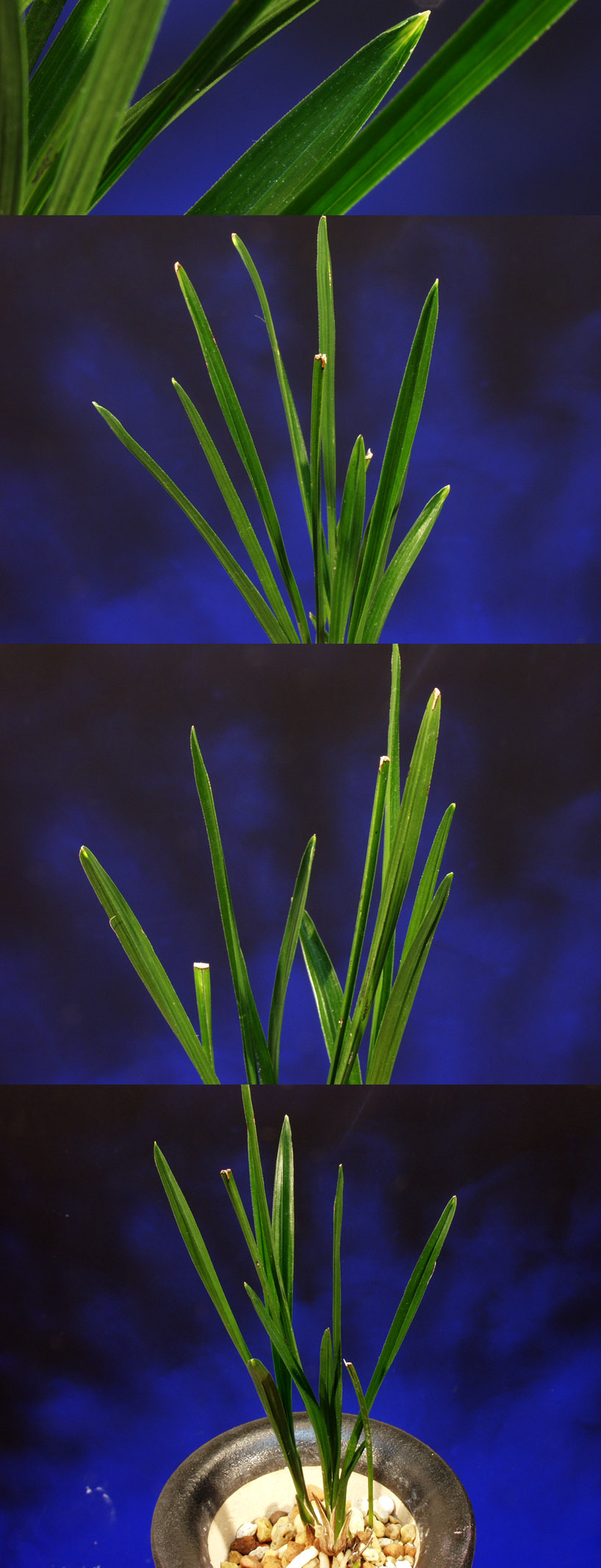 ������ ū������ �� �� �ֽ��ϴ�.