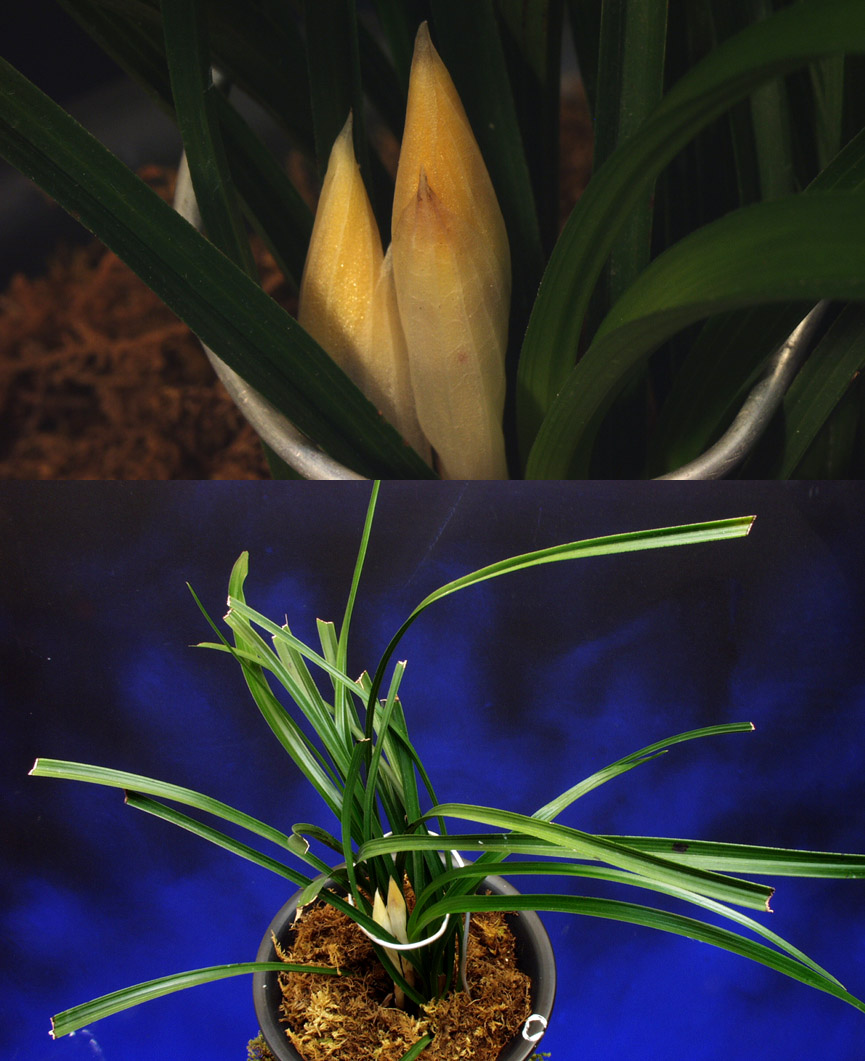 ������ ū������ �� �� �ֽ��ϴ�.