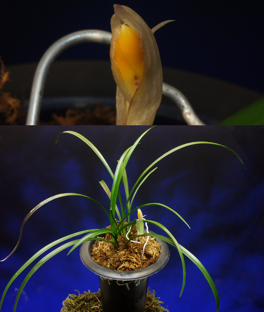 ������ ū������ �� �� �ֽ��ϴ�.