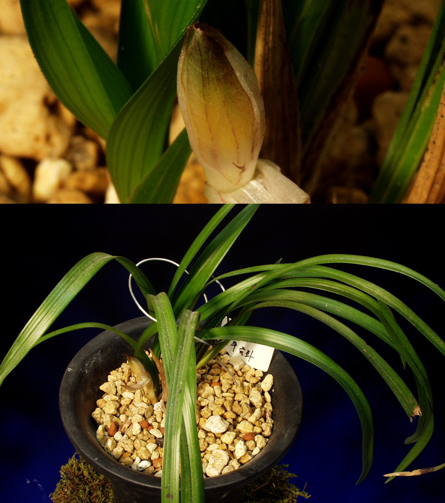 ������ ū������ �� �� �ֽ��ϴ�.