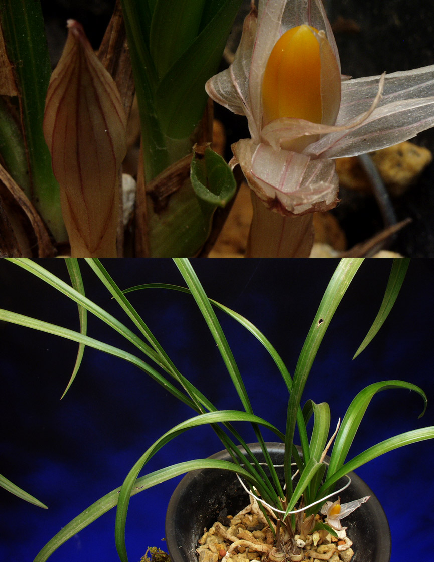 ������ ū������ �� �� �ֽ��ϴ�.