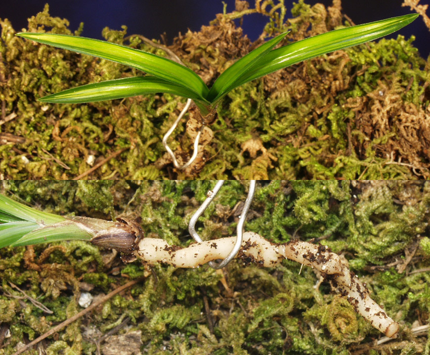 ������ ū������ �� �� �ֽ��ϴ�.