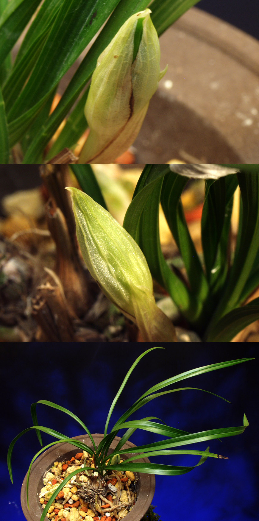 ������ ū������ �� �� �ֽ��ϴ�.