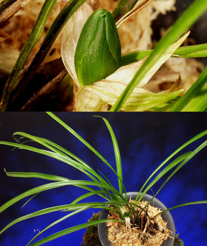 ������ ū������ �� �� �ֽ��ϴ�.