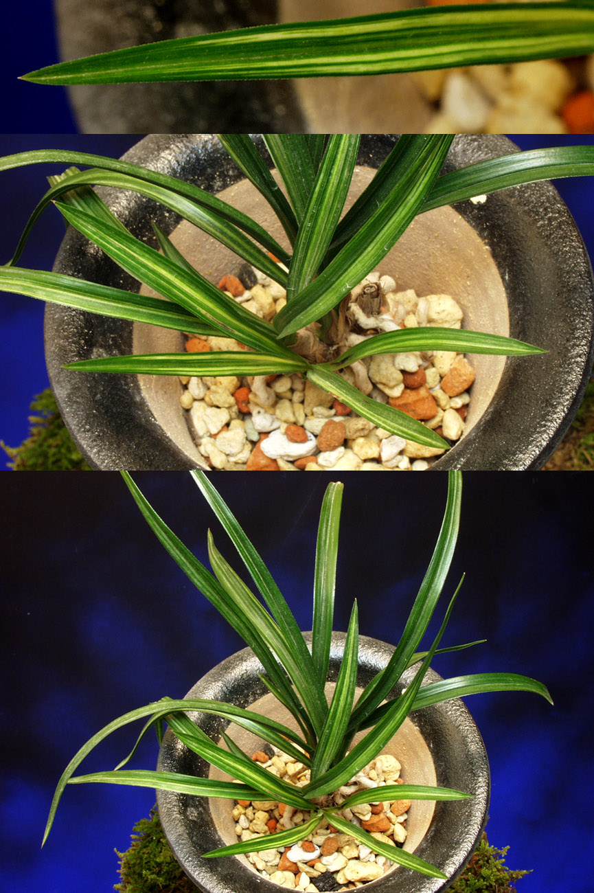 ������ ū������ �� �� �ֽ��ϴ�.