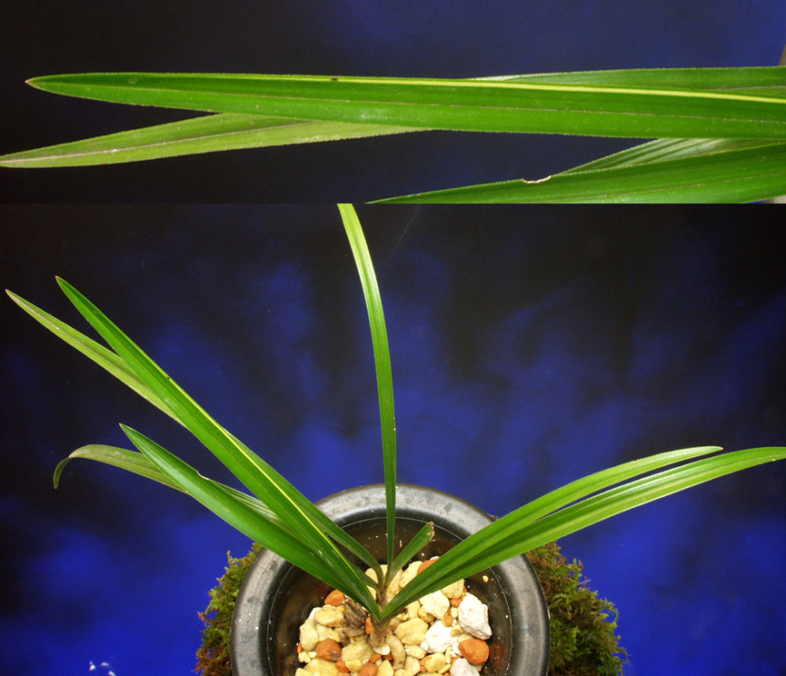 ������ ū������ �� �� �ֽ��ϴ�.