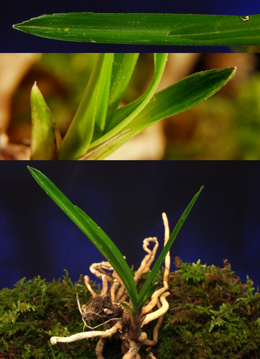 ������ ū������ �� �� �ֽ��ϴ�.