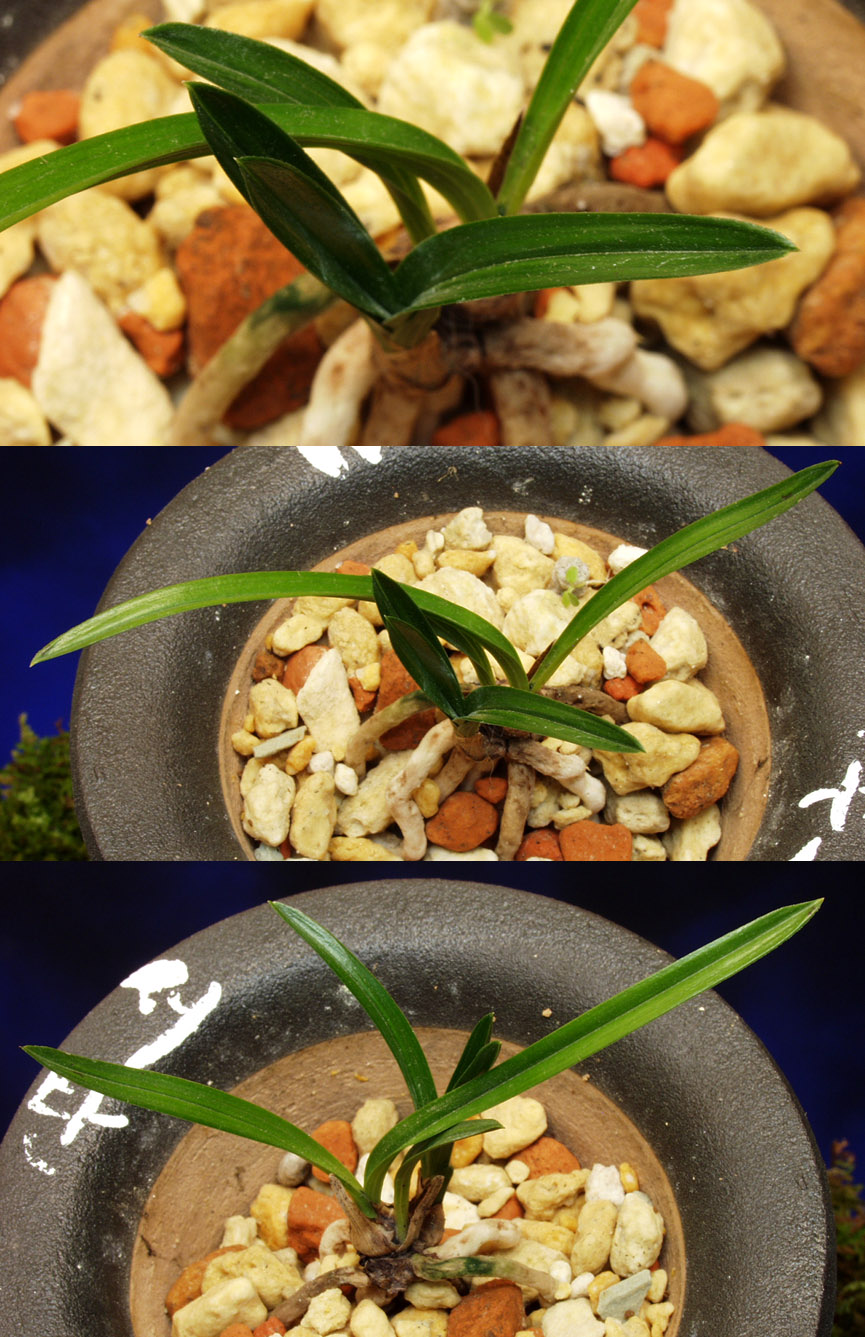 ������ ū������ �� �� �ֽ��ϴ�.